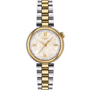 Tissot T-Lady Desir 28 mm T152.010.22.118.01 bei Juwelier Triebel in Bamberg