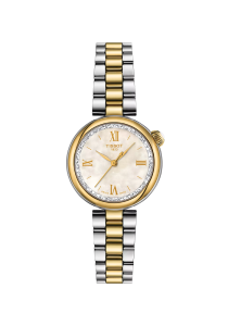 Tissot T-Lady Desir 28 mm T152.010.22.118.01 bei Juwelier Triebel in Bamberg