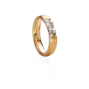 SCHMUCKWERK Alpen Ring GR145-RG bei Juwelier Triebel in Bamberg