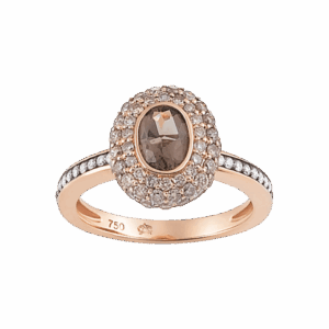 Al Coro Ring Amici R6879S bei Juwelier Triebel in Bamberg